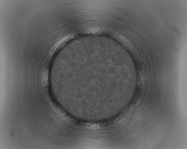 X0000113170640200910021523