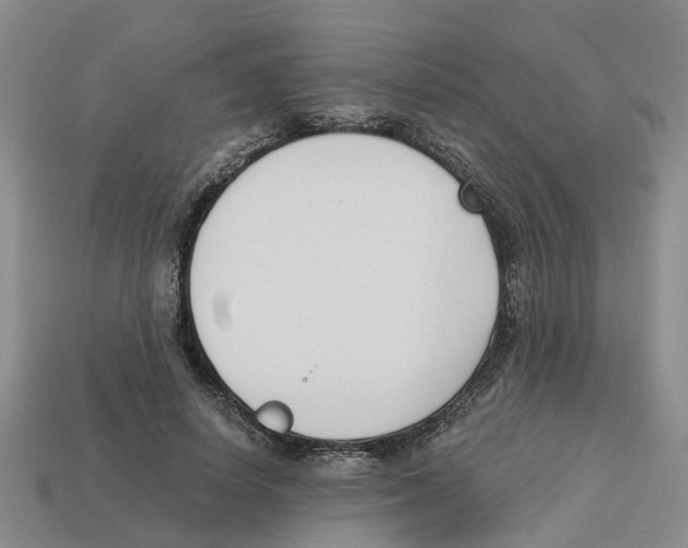 X0000113170642200910021523