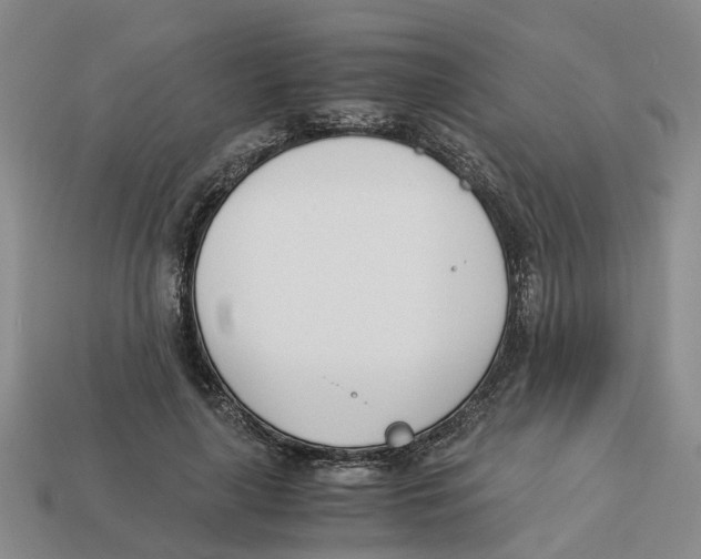 X0000113170643200910021523