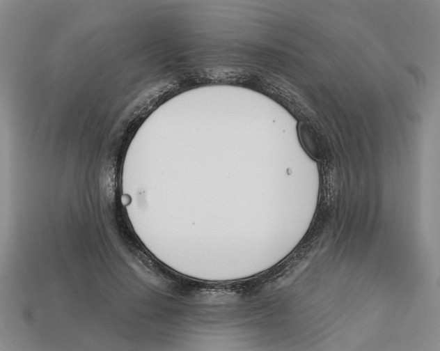 X0000113170644200910021523