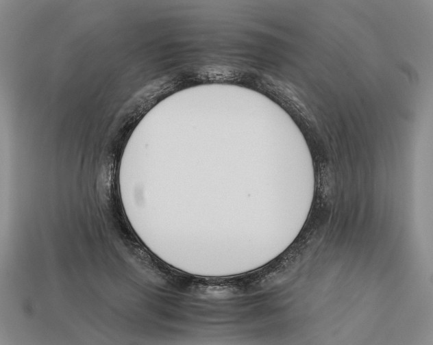 X0000113170645200910021523