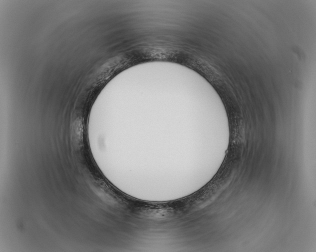 X0000113170646200910021523