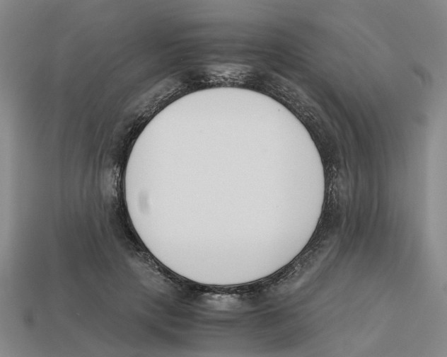 X0000113170649200910021524