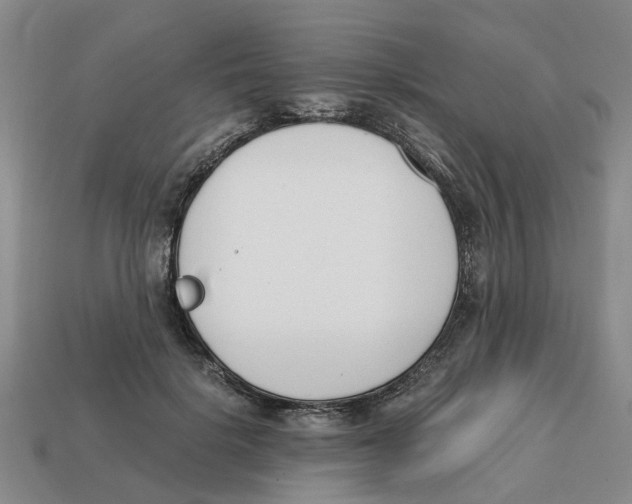 X0000113170652200910021524