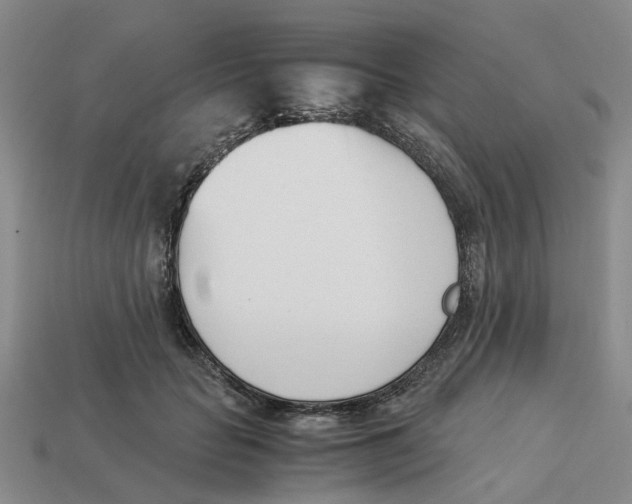 X0000113170653200910021524