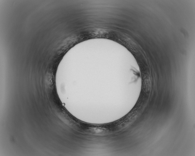 X0000113170654200910021524