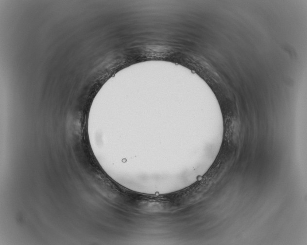 X0000113170655200910021524