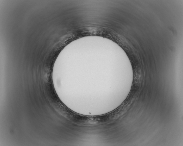 X0000113170656200910021524