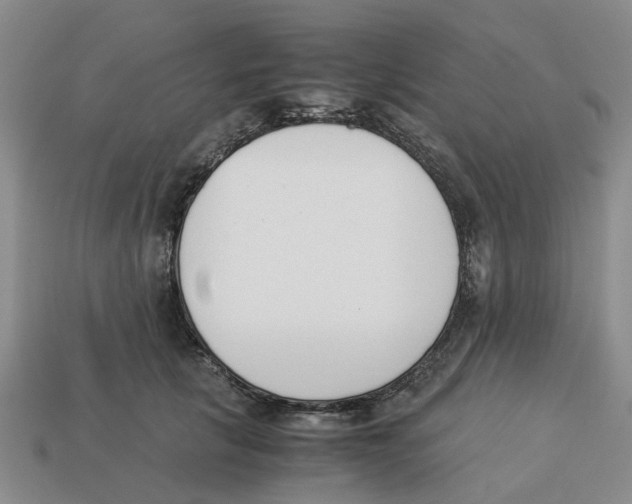 X0000113170657200910021524
