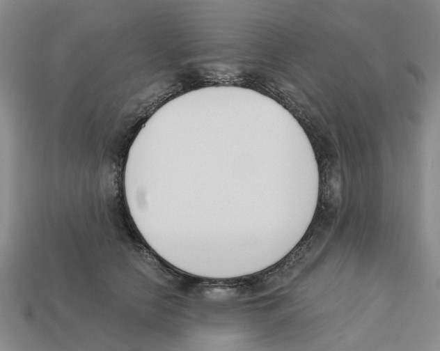 X0000113170658200910021524