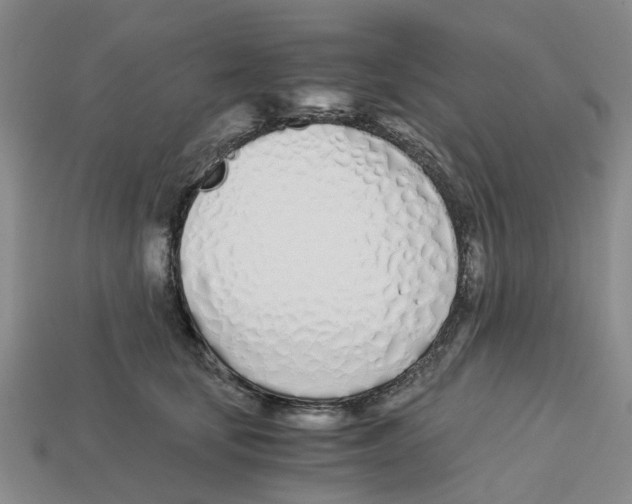 X0000113170659200910021524