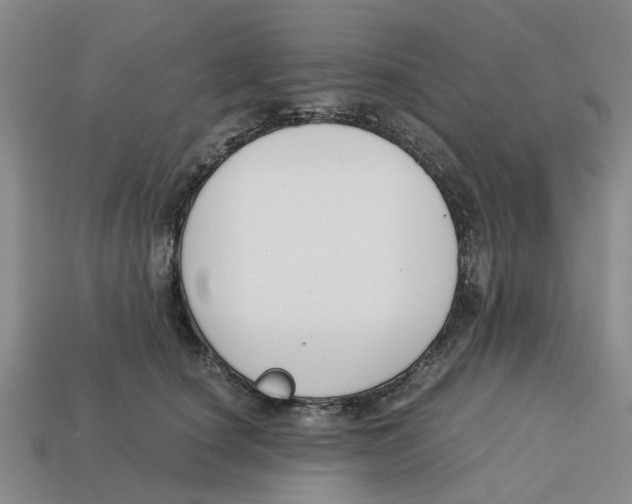 X0000113170660200910021524