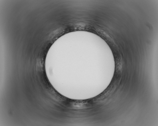 X0000113170661200910021524