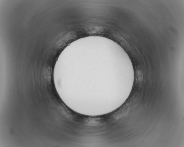 X0000113170664200910021524