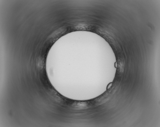 X0000113170665200910021524
