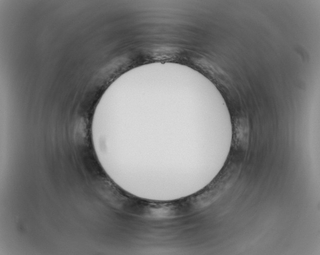 X0000113170667200910021524