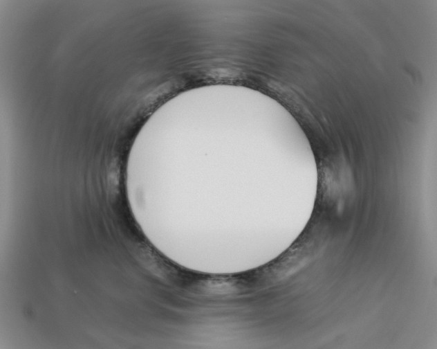 X0000113170668200910021524