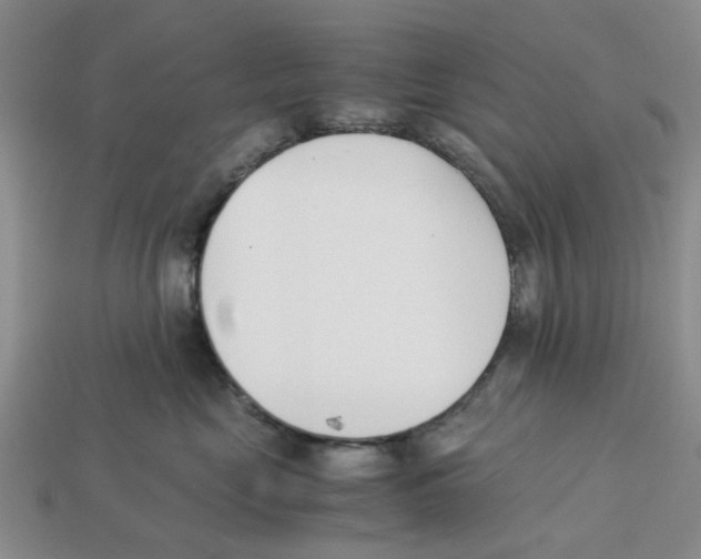 X0000113170669200910021524