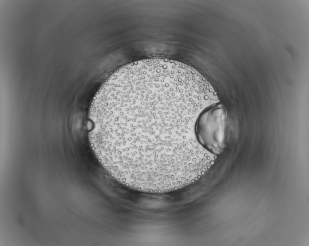X0000113170671200910021524