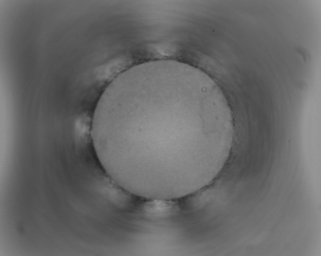 X0000113170672200910021524
