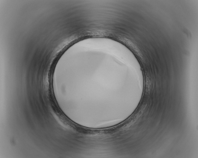 X0000113170674200910021523