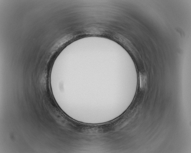 X0000113170675200910021523