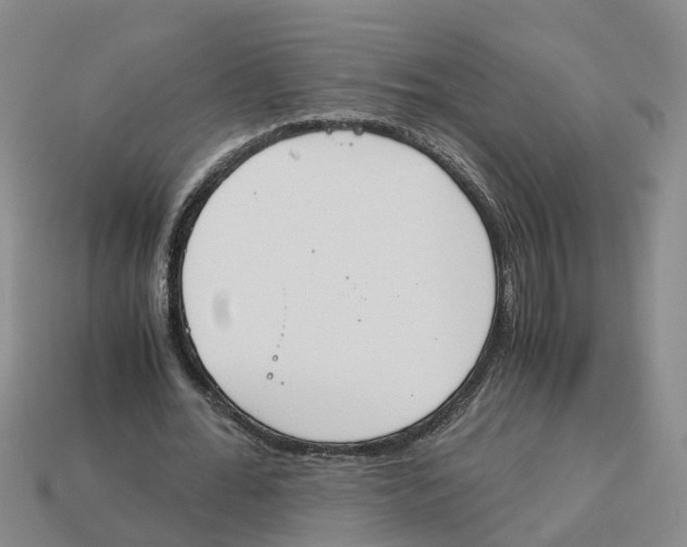 X0000113170676200910021523