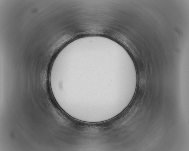 X0000113170677200910021523