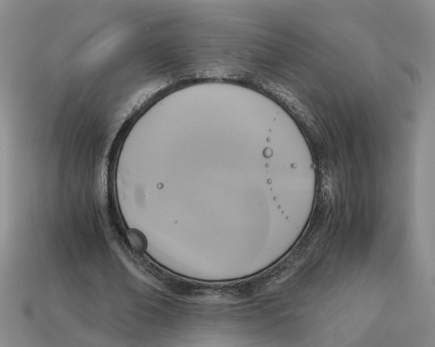 X0000113170678200910021523