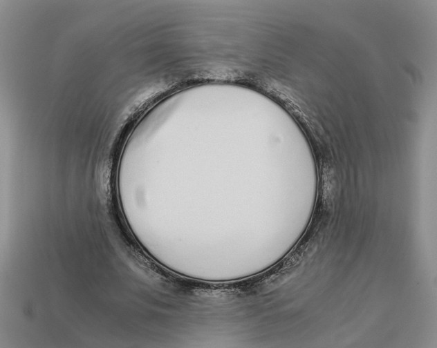 X0000113170679200910021523