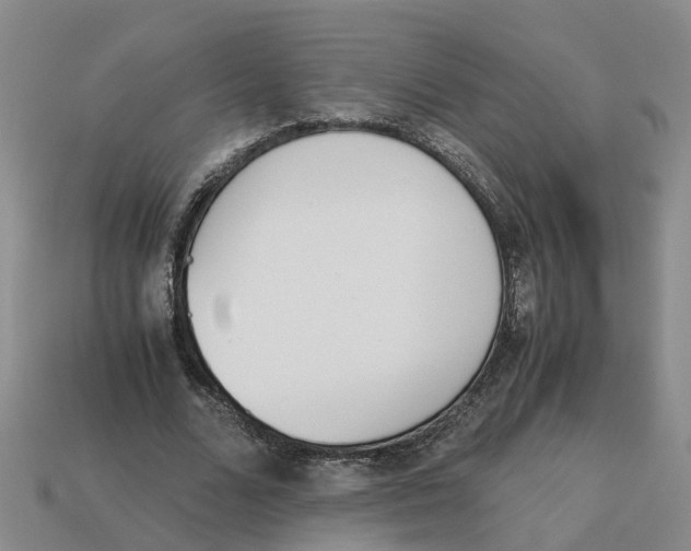 X0000113170680200910021523