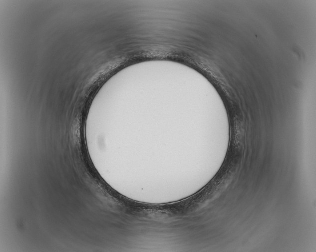 X0000113170681200910021523