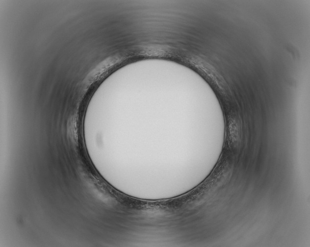 X0000113170682200910021523