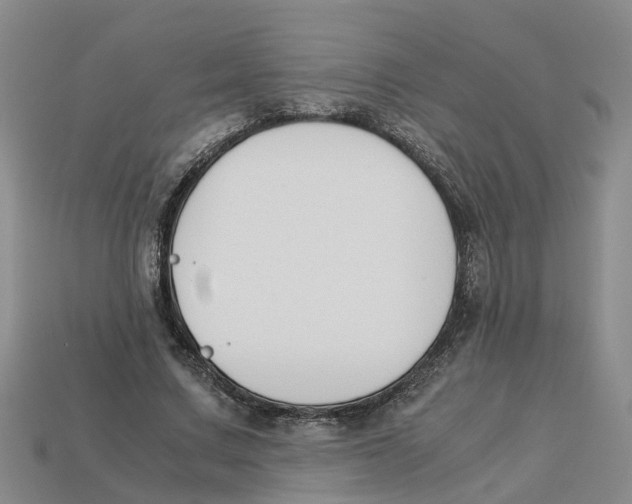 X0000113170683200910021523
