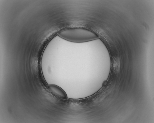X0000113170684200910021523
