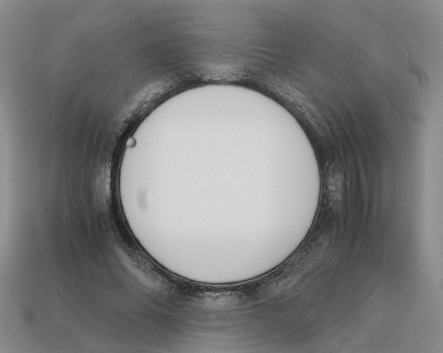 X0000113170686200910021523
