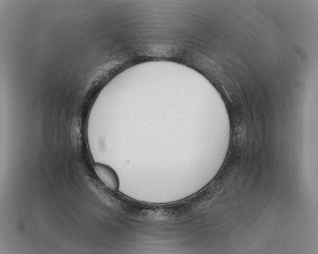 X0000113170688200910021523