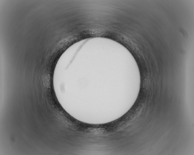 X0000113170689200910021523
