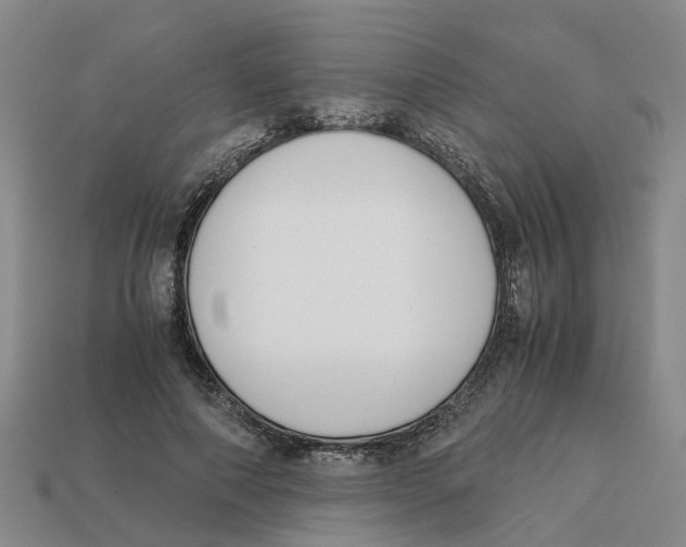 X0000113170690200910021523