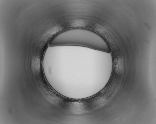 X0000113170692200910021523