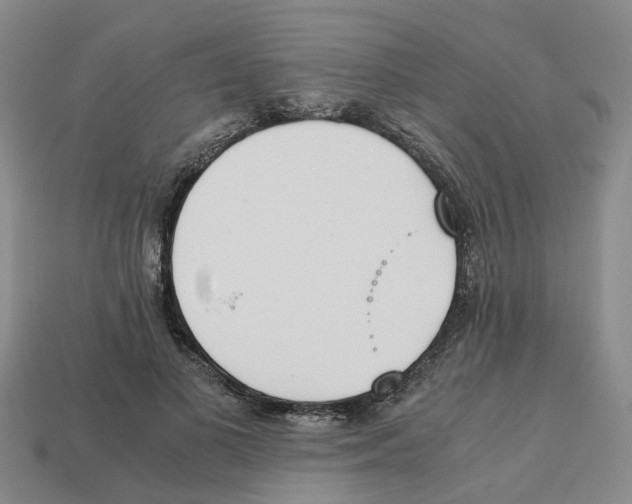 X0000113170693200910021523
