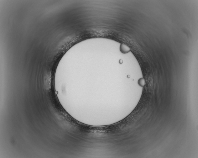 X0000113170694200910021523