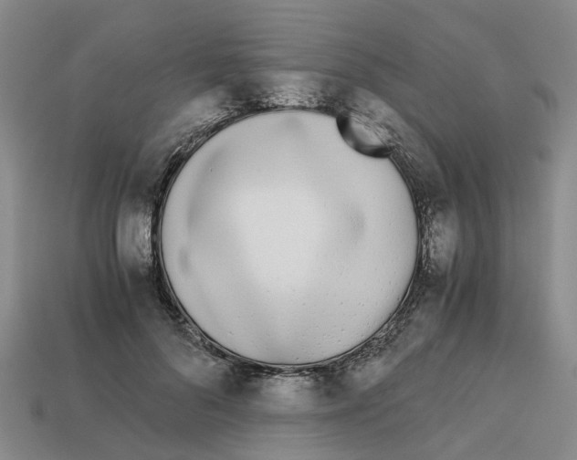 X0000113170696200910021523