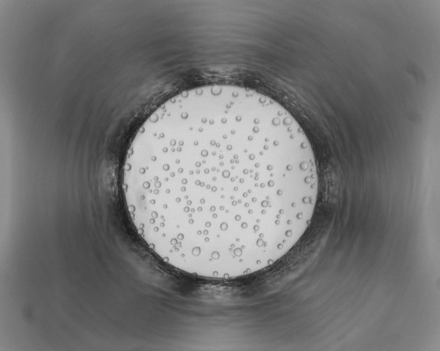 X0000113170699200910021523