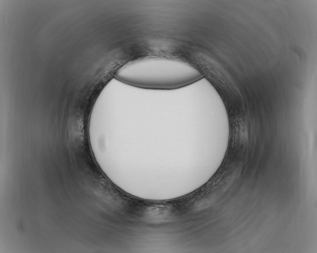 X0000113170700200910021523