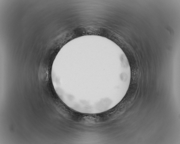 X0000113170703200910021523