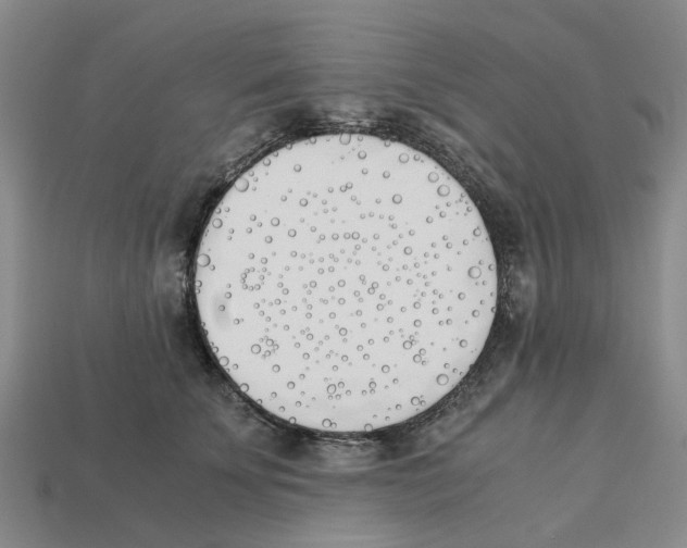 X0000113170707200910021523