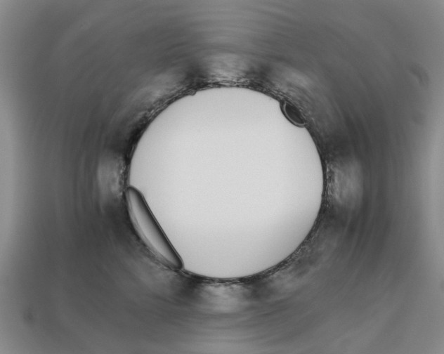 X0000113170712200910021523