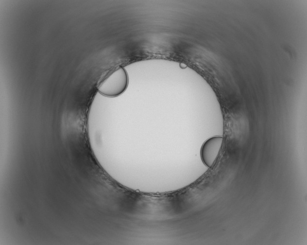 X0000113170713200910021523