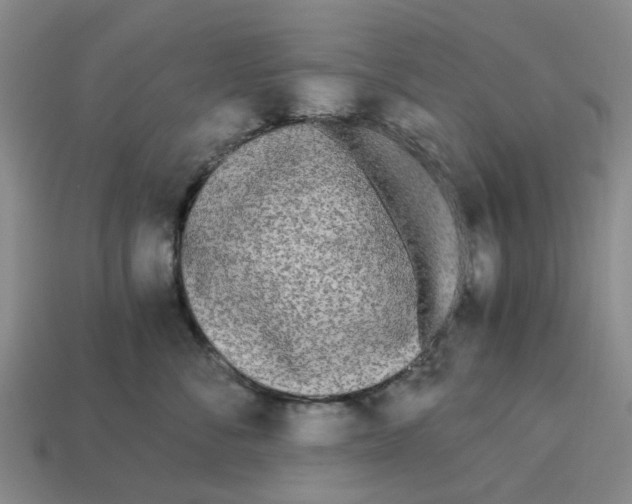 X0000113170716200910021523